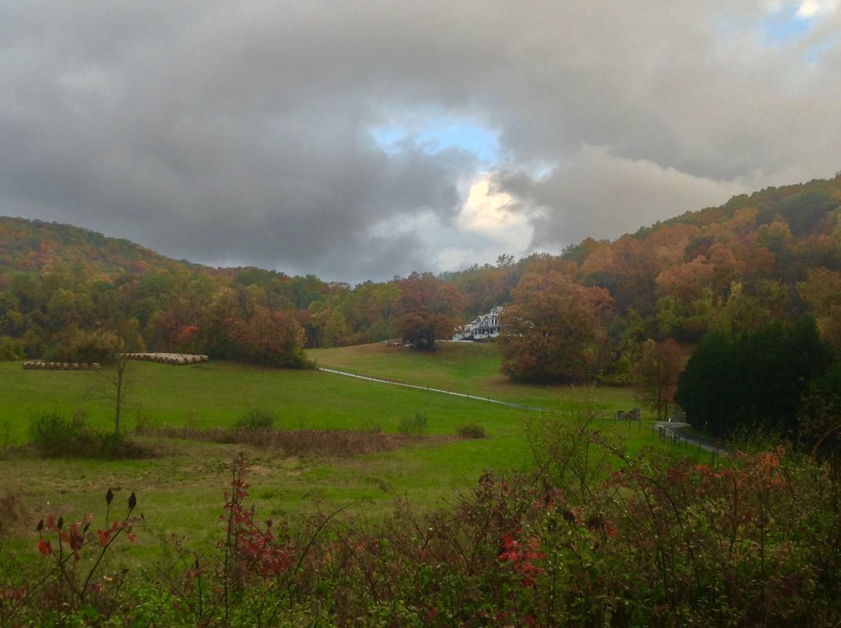 Skyline Vineyard 3*